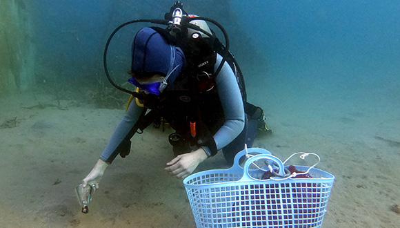 Gal Vered during her research work at the Gulf of Eilat (photo: Tal Gordon)