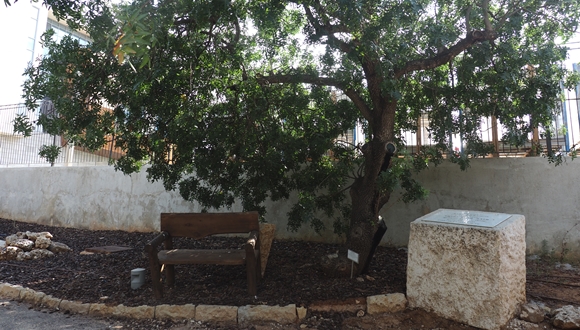 יד לזכר פרופ. יעקב גליל, מייסד הגן. צילמה: יעל אורגד