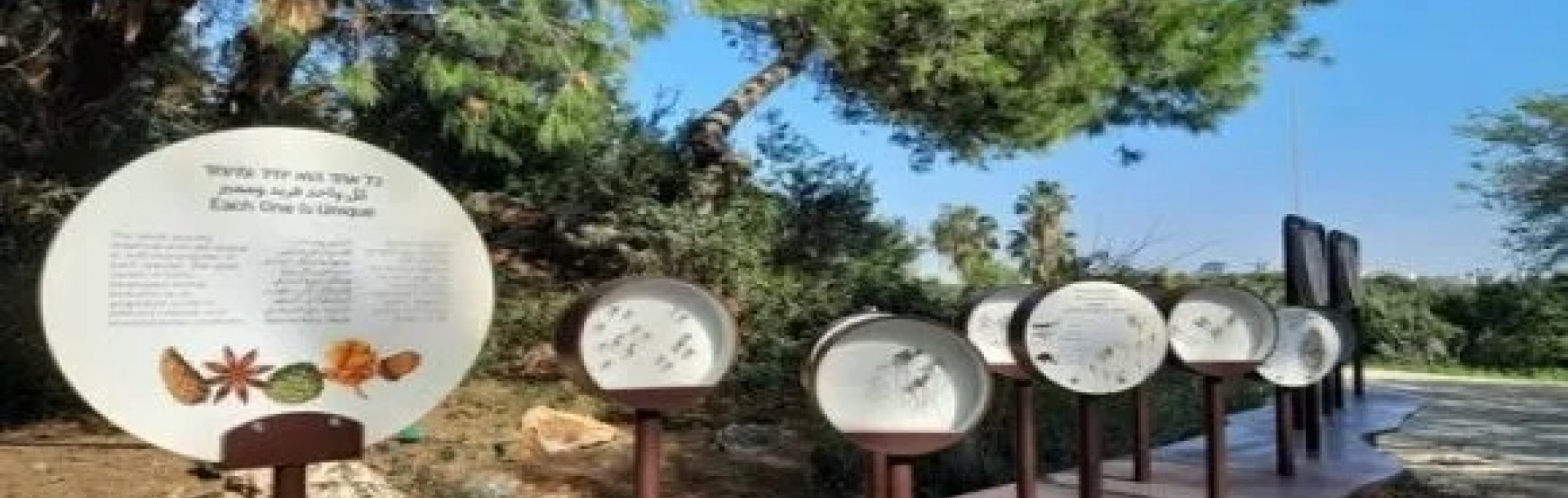 Interactive Discovery Hubs: Embark on a Journey into the Secret Life of Plants