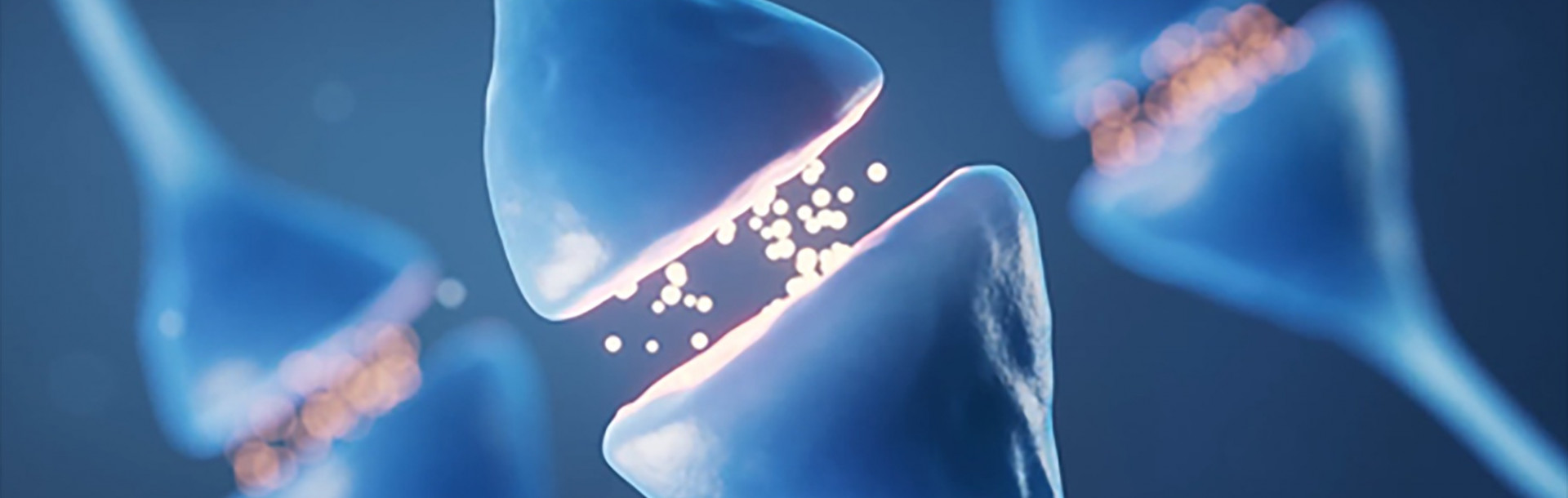 When the Cell&#039;s Production Manager Goes Off Its Rails