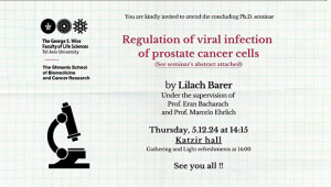 Lilach Barer - Ph.D. Concluding Seminar