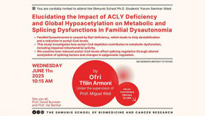 Ph.D. Forum 2024-2025: Ofri Tfilin Armoni