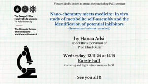 Hanaa Adsi - Ph.D. Concluding Seminar