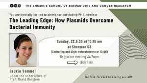 Concluding Ph.D. Seminar - Bruria Samuel