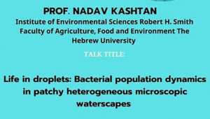 Shmunis School Seminar - Prof. Nadav Kashtan