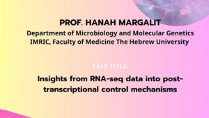 Shmunis School Seminar - Prof. Hanah Margalit