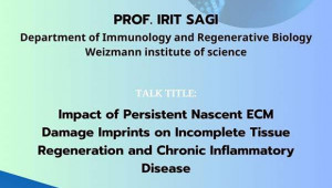 Shmunis School Seminar - Prof. Irit Sagi