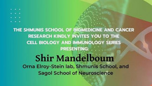 Shmunis School Seminar - Shir Mandelboum