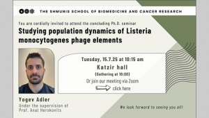 Concluding Ph.D. Seminar - Yogev Adler