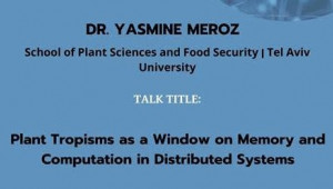 Shmunis School Seminar - Dr. Yasmine Meroz