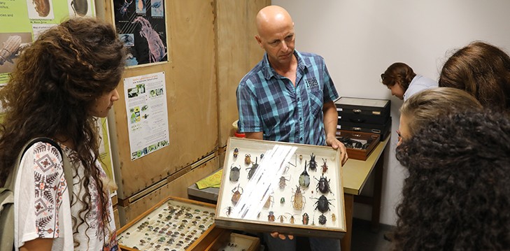 The School’s arthropod collection has been transferred to the Museum for preservation