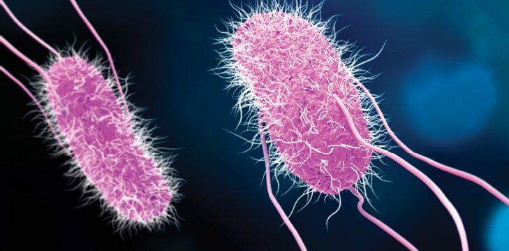 It turns out that hackers have a lot to learn from bacteria