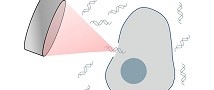 A new lab is looking to recruit a curious and vibrant lab manager