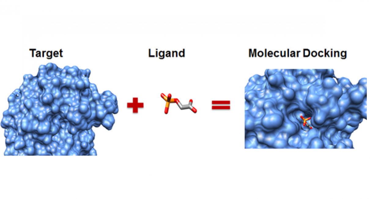 autodock computational docking of small molecules for genomic library