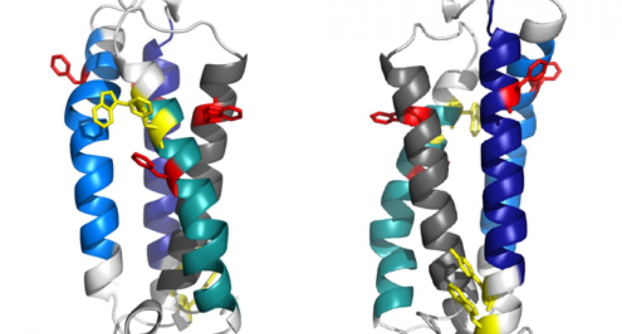 Prediction Of Protein Structure | TAU Bioinformatics Unit | Tel Aviv ...