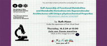 Ruth Aizen - PhD Concluding Seminar