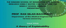 Shmunis School Seminar - Prof. Ran Gilad-Bachrach