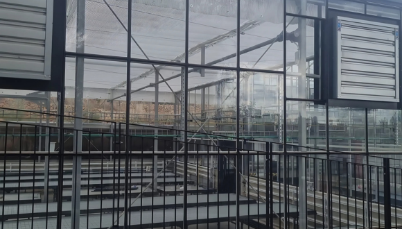 The new greenhouses at the Yehuda Naftali Botanical Garden