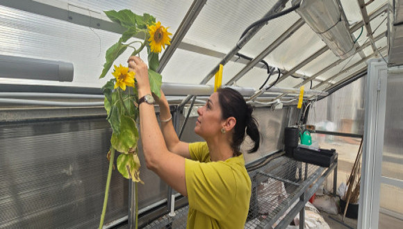 Prof. Yasmine Meroz