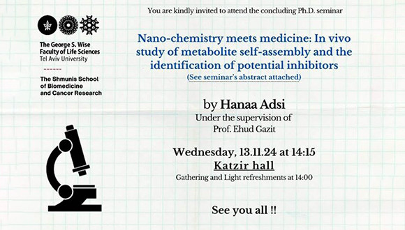 Hanaa Adsi - Ph.D. Concluding Seminar
