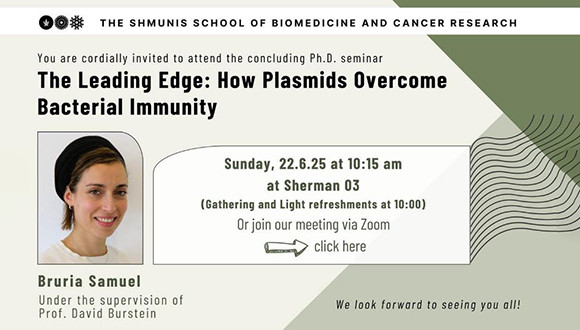 Concluding Ph.D. Seminar - Bruria Samuel
