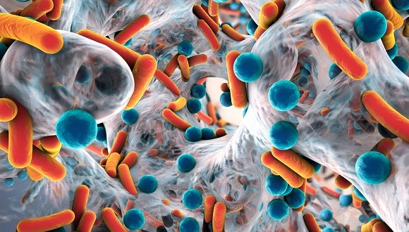 Microbiology