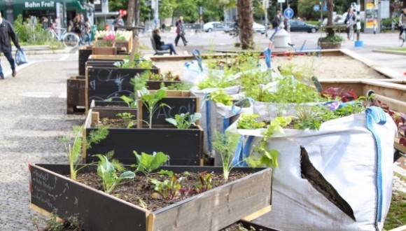 Urban agriculture, Freiburg, Germany