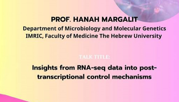 Shmunis School Seminar - Prof. Hanah Margalit