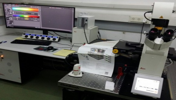 New Confocal microscope installed at the Instrumentation and Service Center of the Life Sciences Faculty (IDRFU)