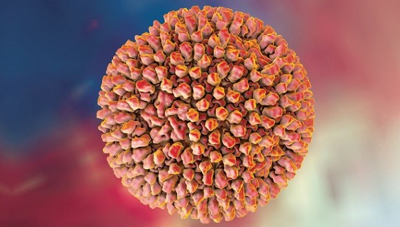 It turns out that viruses can fight on our side | The ...