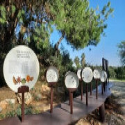 A New Experience for Garden Visitors! A New Experience for Garden Visitors!