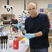 Electric Body Parts: Charged Nanoparticles Can Lead Medications to Specific Organs