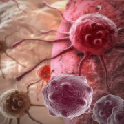 Cancer, Cell Biology, and Immunology