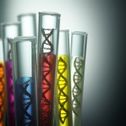 DNA in tubes