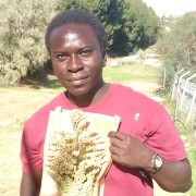 Dr. Bombom spends 6 months conducting crop research at TAU