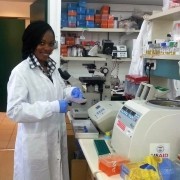 Identification of a Novel RNA Virus Lethal to Tilapia