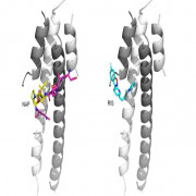 docking peptide to protein